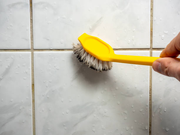 Best Mold Removal Company Near Me  in San Andreas, CA