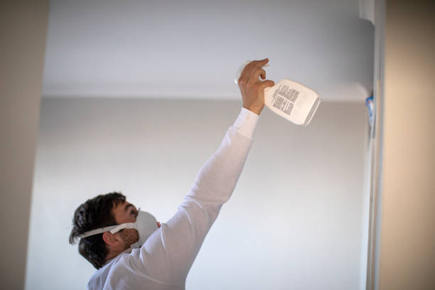 Best Office Mold Removal Services  in San Andreas, CA
