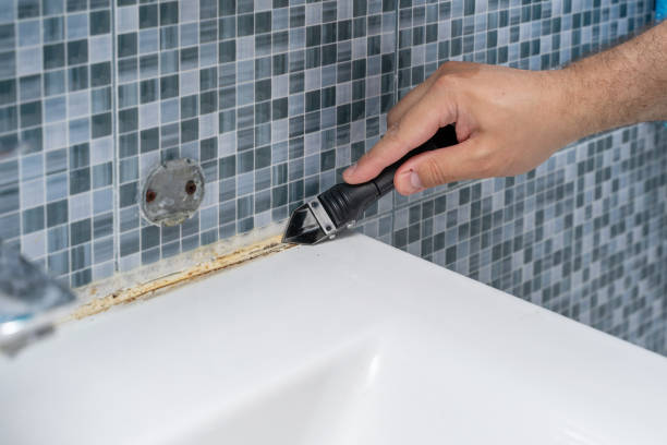Best Fast Mold Removal  in San Andreas, CA