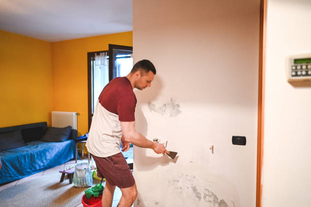 Best Crawl Space Mold Removal  in San Andreas, CA