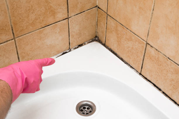 Best Mold Remediation Services  in San Andreas, CA